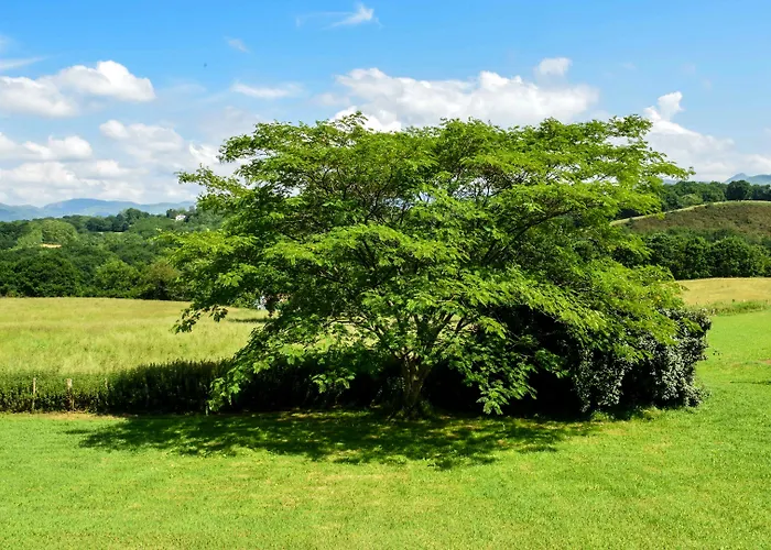 Restaurant Baratxartea Hotel