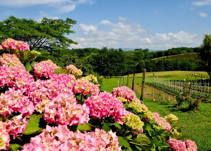 Restaurant Baratxartea Hotel Sare